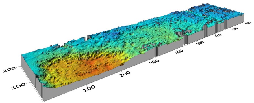 Visualización 3D de la superficie corroída
